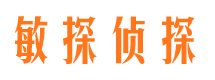 汤旺河市侦探调查公司